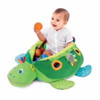 Turtle Ball Pit