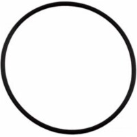 Waterway 805-0145 2.56 in. ID 2.75 in. OD 0.09 in. Union Cord O-Ring