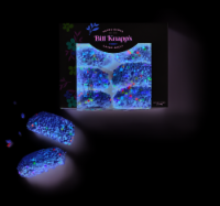 Bill Knapp's® Confetti Shortbread Dunker Donuts Perspective: Main