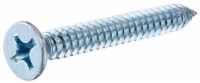 Hillman Flathead Phillips Sheet Metal Screw Perspective: Main