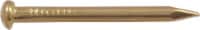 Hillman Escutcheon Pins - Brass-Plated - 16 x 1 in Perspective: Main