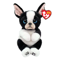 Tink Dog - Black White Belly