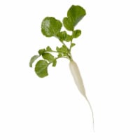 Icicle Radishes Perspective: Main
