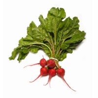 Frieda's Striped Baby Beet