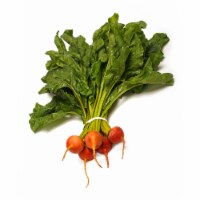 Gold Baby Beet