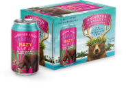 Anderson Valley Tropical Hazy Sour Craft Beer Perspective: Main