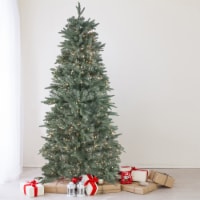 Northlight Real Touch™️ Pre-Lit Slim Washington Frasier Fir Artificial Christmas Tree -12' -