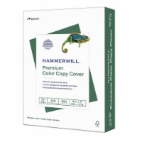 Hammermill Paper for Color Printable Multipurpose Card Stock 120023