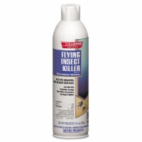 Champion Sprayon Flying Insect Killer 18oz Can 5102