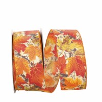 Reliant Ribbon 92297W-001-40F 2.5 in. Leaf Standard Value Wired Edge Ribbon, Multi - 10 Yards