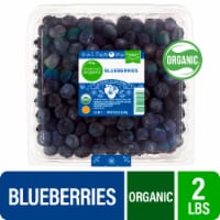 Simple Truth Organic® Blueberries Perspective: Main