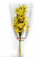 Bloom Haus Cymbidium Orchid Spray Perspective: Main