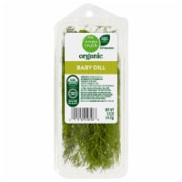 Organic Long English Cucumbers, 1 ct - Kroger