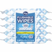 Kroger® Flushable Wipes Perspective: Main