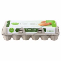 Simple Truth Organic™ Cage Free Large Brown Eggs