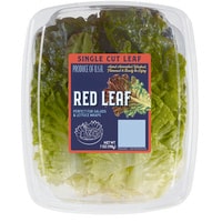 Single Cut Red Leaf Lettuce