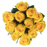 Bloom Haus™ Dozen Rose Bunch - Yellow