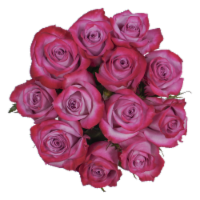 Bloom Haus™ Dozen Rose Bunch - Lavender