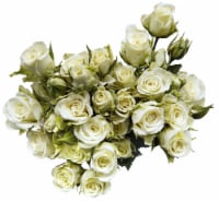 Bloom Haus Garden Delight - White Spray Roses