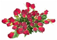 Bloom Haus Garden Delight - Red Spray Roses Perspective: Main