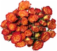 Bloom Haus Garden Delight - Orange Spray Roses