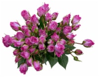Bloom Haus Garden Delight - Lavender Spray Roses Perspective: Main
