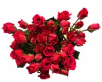 Bloom Haus Garden Delight - Hot Pink Spray Roses