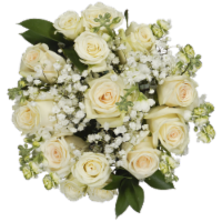 Bloom Haus Classic Rose Bouquet - White