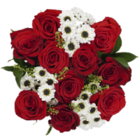 Bloom Haus Classic Rose Bouquet - Red