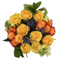 Bloom Haus Classic Rose Bouquet - Yellow