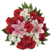 Bloom Haus 12 Plus Rose Bouquet - Red