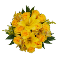 Bloom Haus 12 Plus Rose Bouquet - Yellow