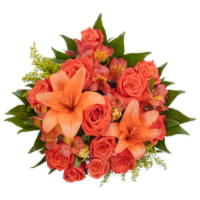 Bloom Haus™ 12 Plus Rose Bouquet - Orange Perspective: Main