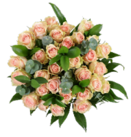 Bloom Haus 30 Plus Rose Bouquet - Pink