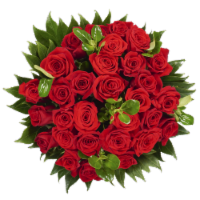 Bloom Haus 30 Plus Rose Bouquet - Red