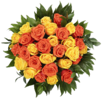 Bloom Haus 30 Plus Rose Bouquet - BiColor