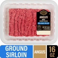 Private Selection® 90/10 Angus Ground Beef Tray 1 LB Perspective: Main