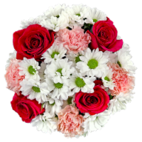 Bloom Haus Sunshine On My Mind Fresh Cut Flower Bouquet Perspective: Main