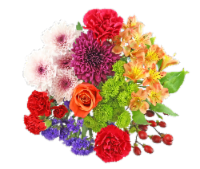 Bloom Haus Love & Light Fresh Cut Flower Bouquet Perspective: Main