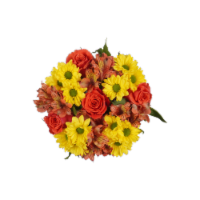 Sunshine on My Mind Fresh Cut Flower Bouquet Perspective: Main
