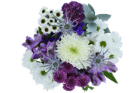 Brilliance in Bloom Fresh Cut Flower Bouquet Perspective: Main