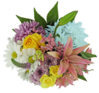 Butterfly Blooms Fresh Cut Flower Bouquet