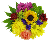 Bloom Haus Hello Summer Fresh Cut Flower Bouquet Perspective: Main