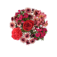 Bloom Haus Strawberry Patch Fresh Cut Flower Bouquet, 9 - stem