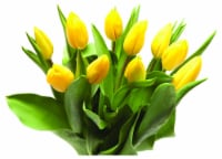 Bloom Haus Tulips