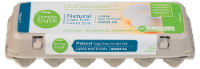 Simple Truth™ Natural Cage Free Grain Fed Grade AA Large White Eggs Perspective: Main