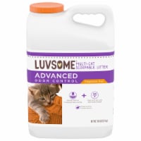 Luvsome® Advanced Odor Control Unscented Multi-Cat Scoopable Litter