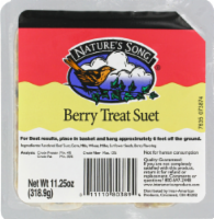 Nature's Song® Berry Treat Suet Wild Bird Food Perspective: Main