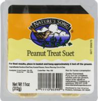 Nature's Song® Peanut Treat Suet Wild Bird Food Perspective: Main