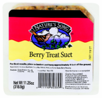 Nature's Song® Berry Treat Suet Perspective: Main
